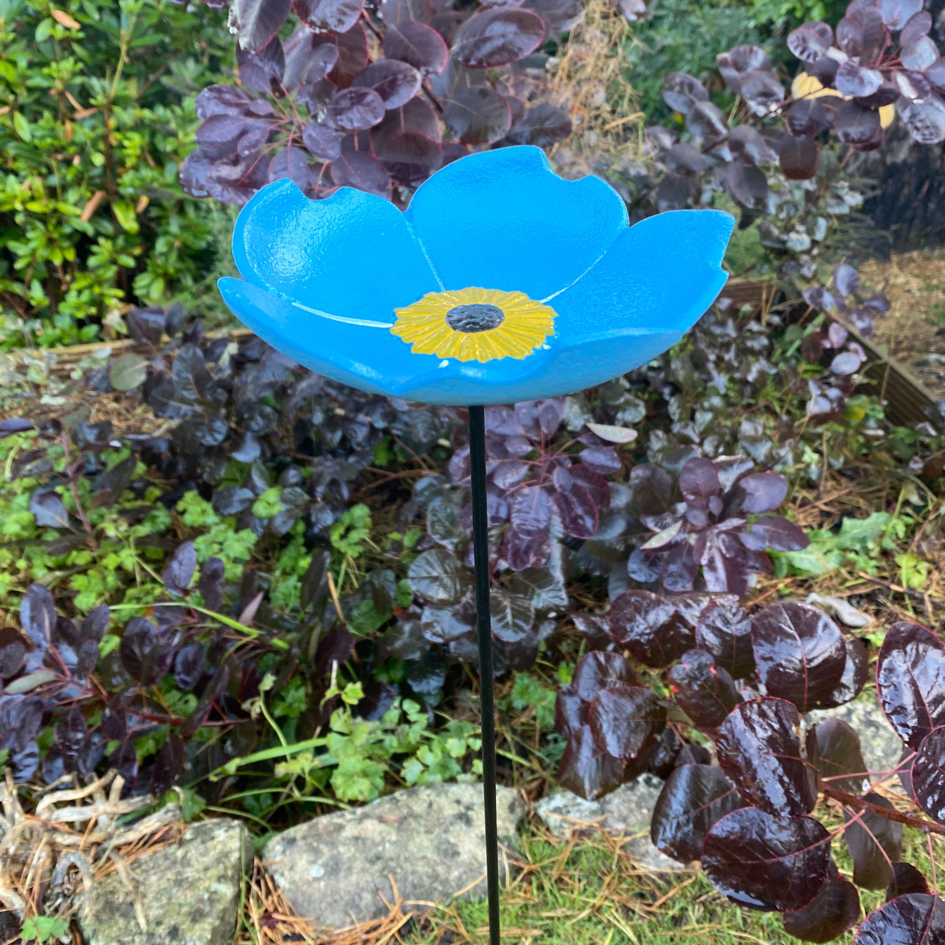 Cast Iron Wild Bird Forget Me Not Flower Dish Bird Feeders (Set of 5)