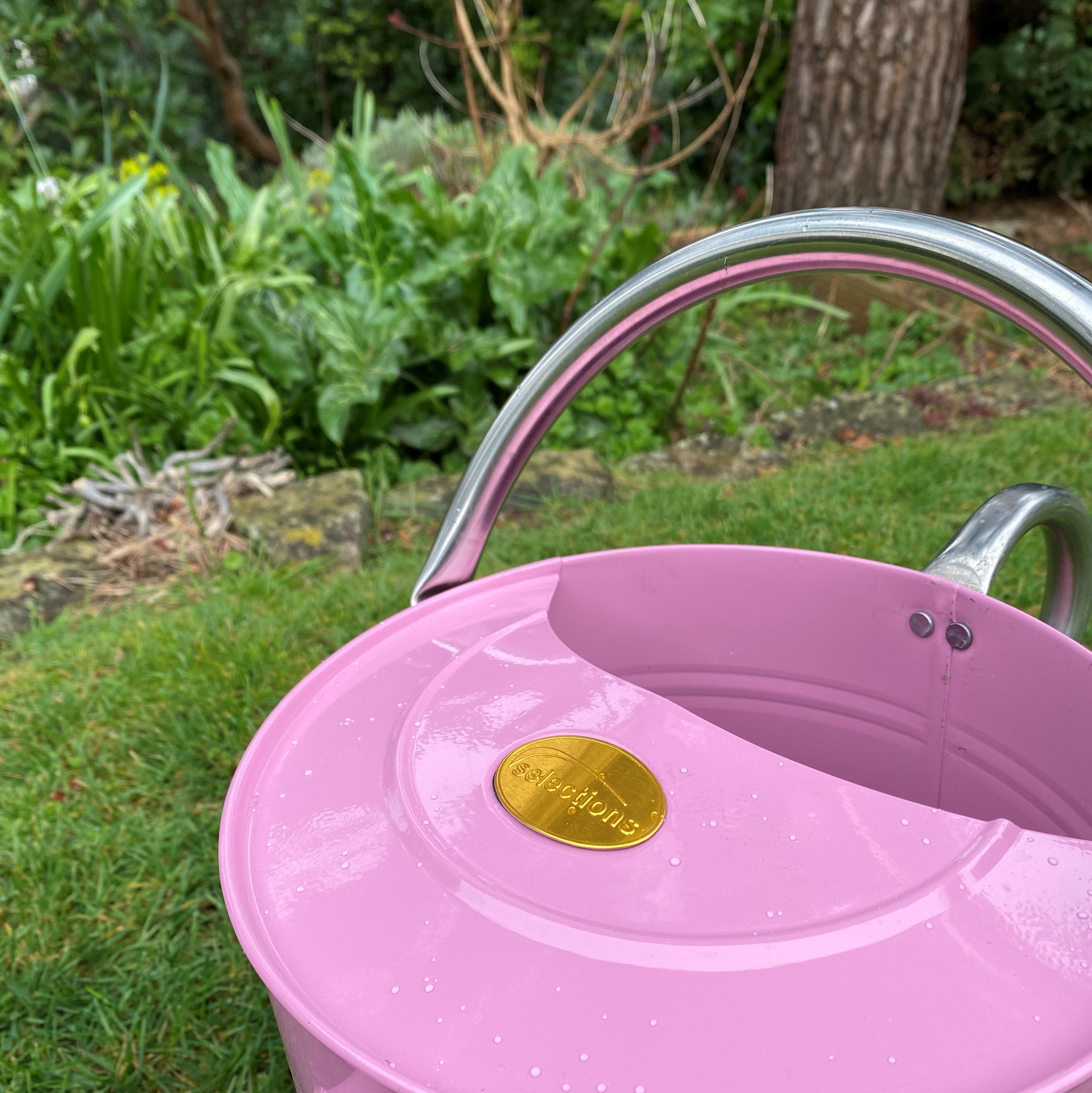 Pink & Chrome Metal Watering Can (9 Litre)