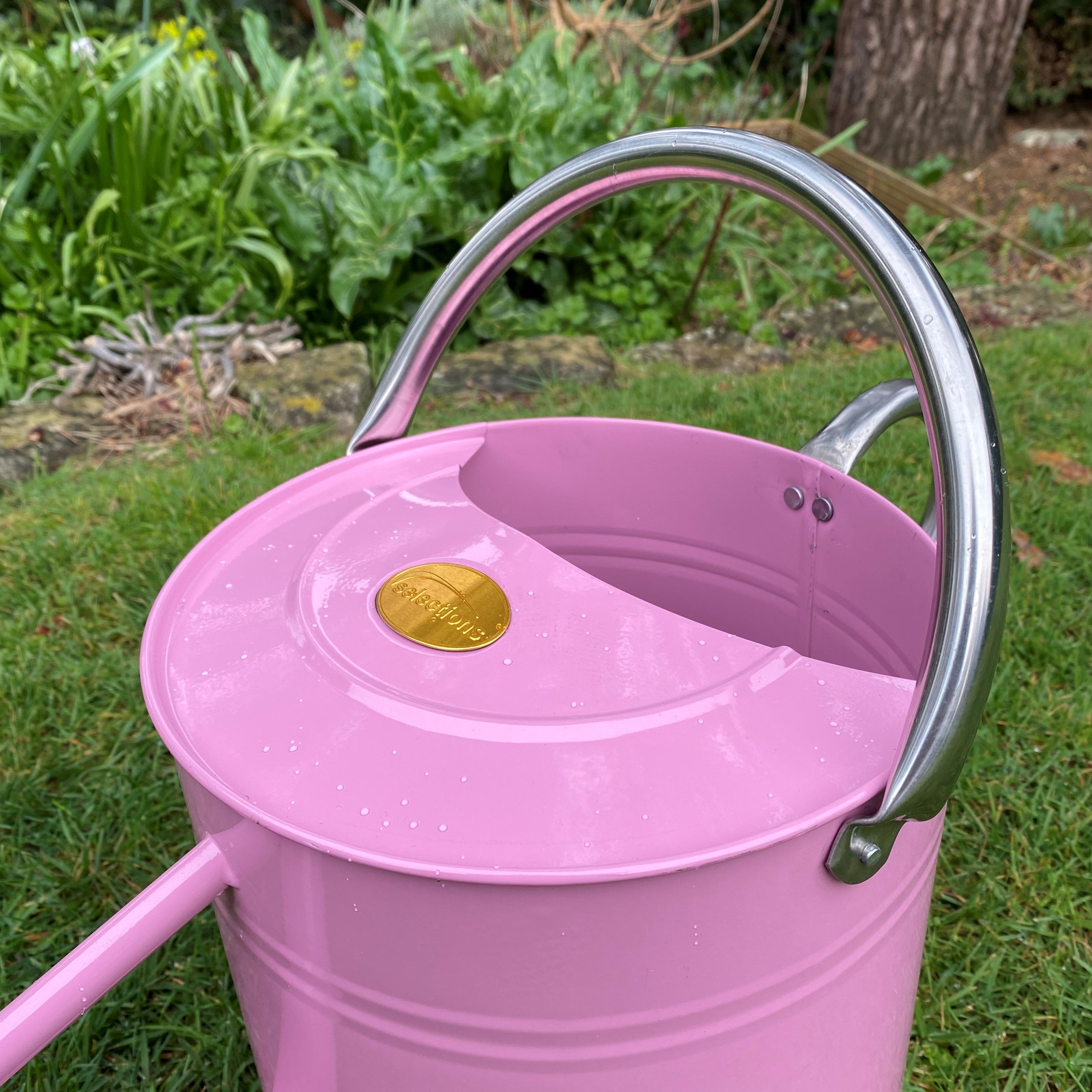 Pink & Chrome Metal Watering Can (9 Litre)