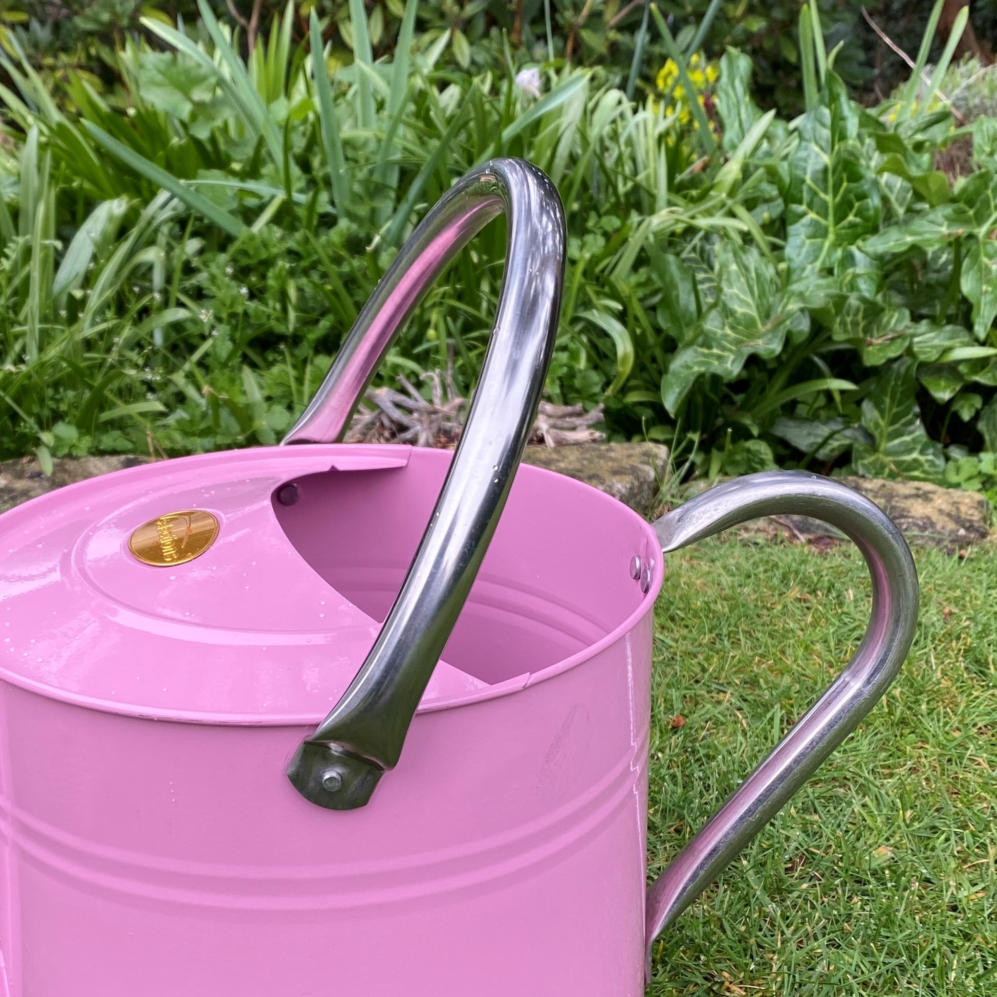 Pink & Chrome Metal Watering Can (9 Litre)