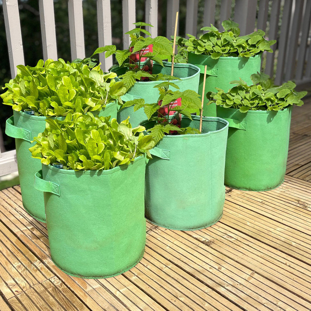 Potato & Vegetable Planter Grow Bags Fabric Pots - Pack of 6