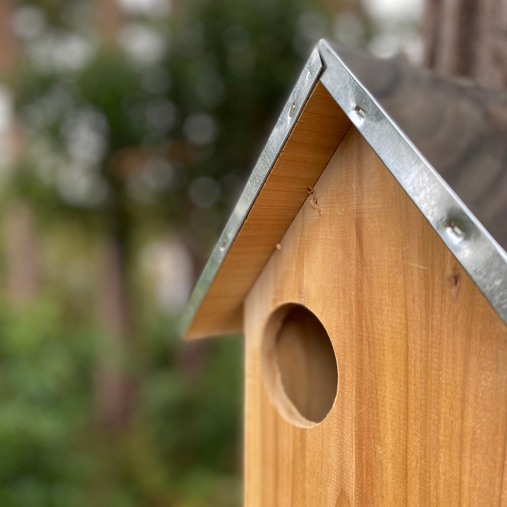 Wooden Garden Squirrel Nest Box House With Metal Roof - Pack of 2