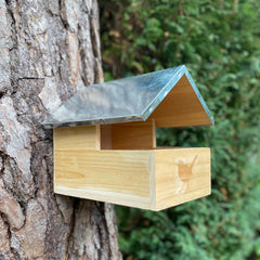 Blackbird Wooden Nesting Box House