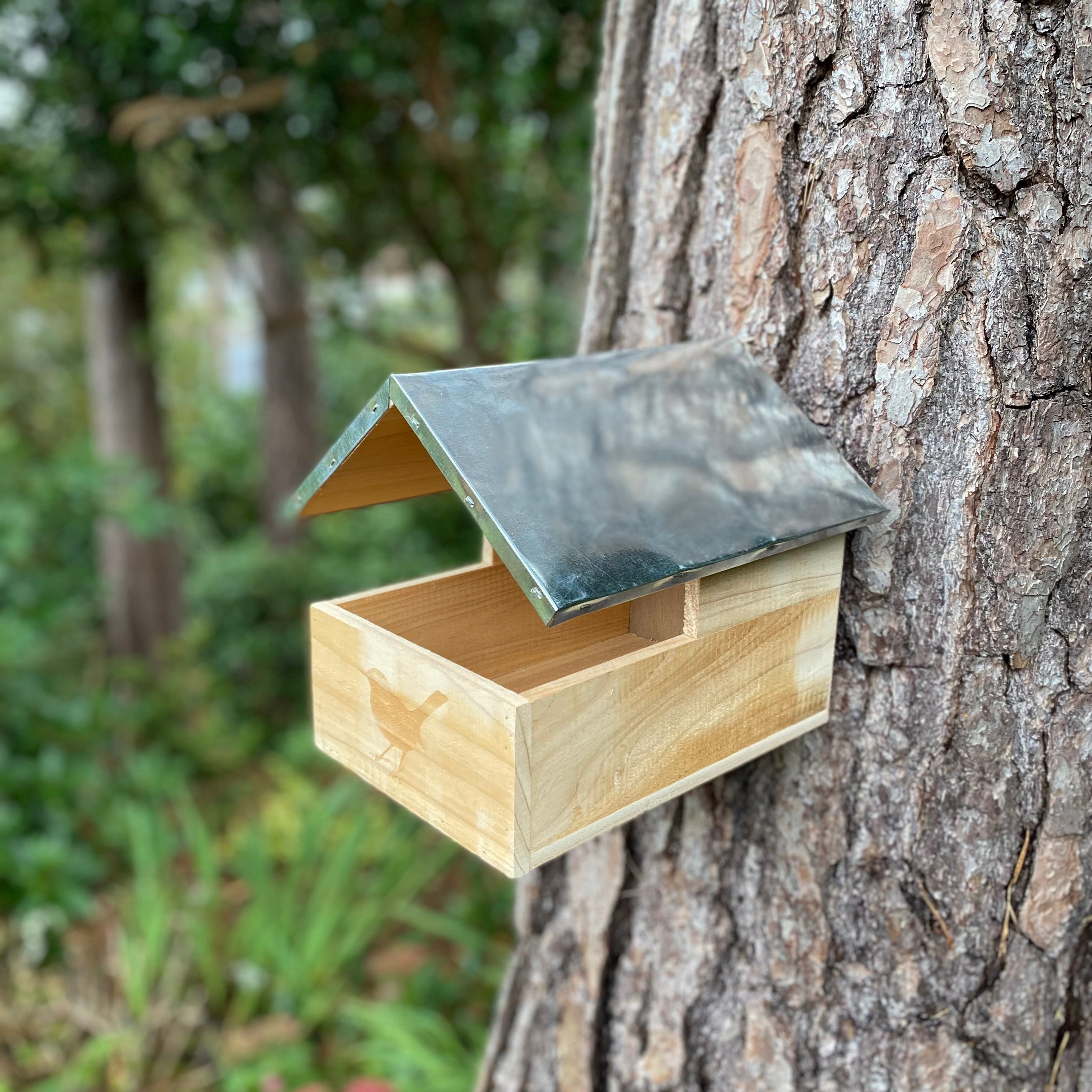 Blackbird Wooden Nesting Box House