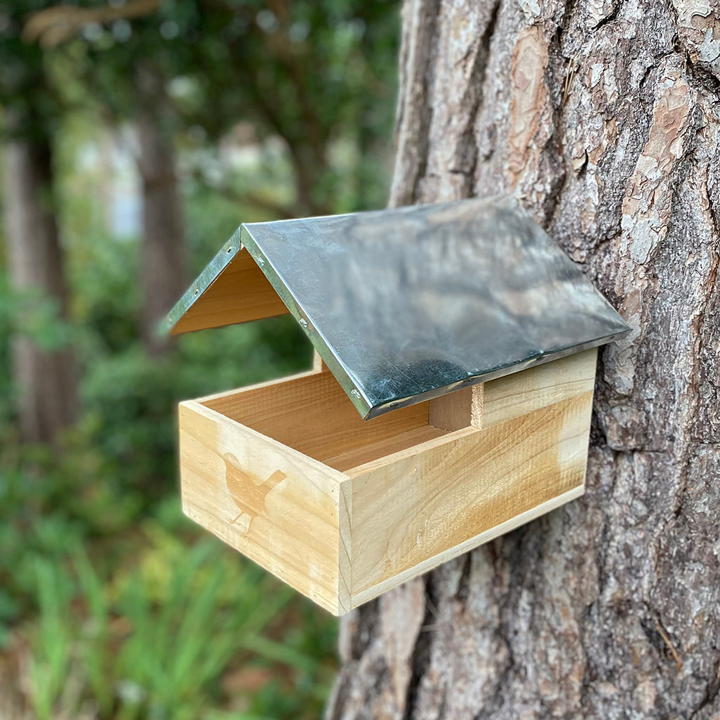 Blackbird Wooden Nesting Box House