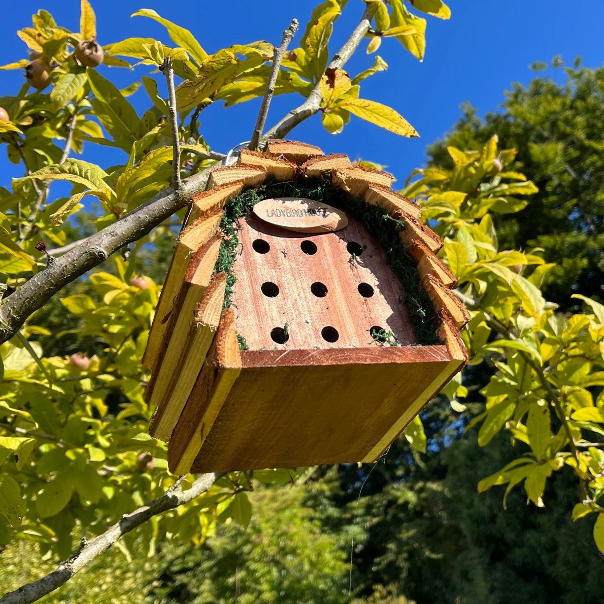 Wooden Hanging Ladybird House Garden Bug Habitat (Set of 2)
