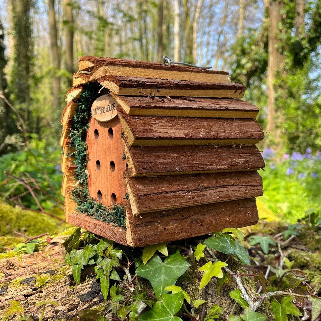 Wooden Hanging Ladybird House Garden Bug Habitat (Set of 2)