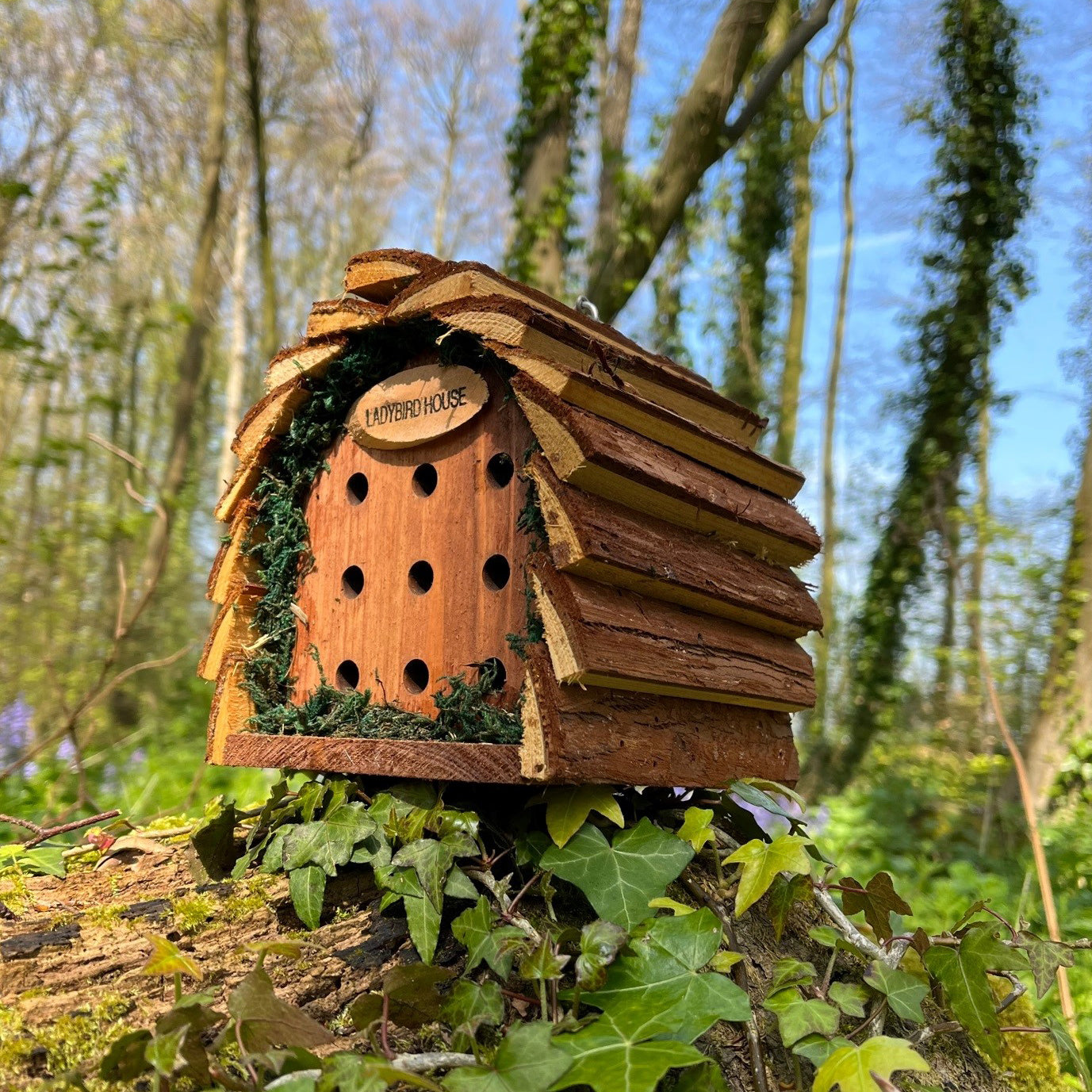Wooden Hanging Ladybird House Garden Bug Habitat (Set of 2)