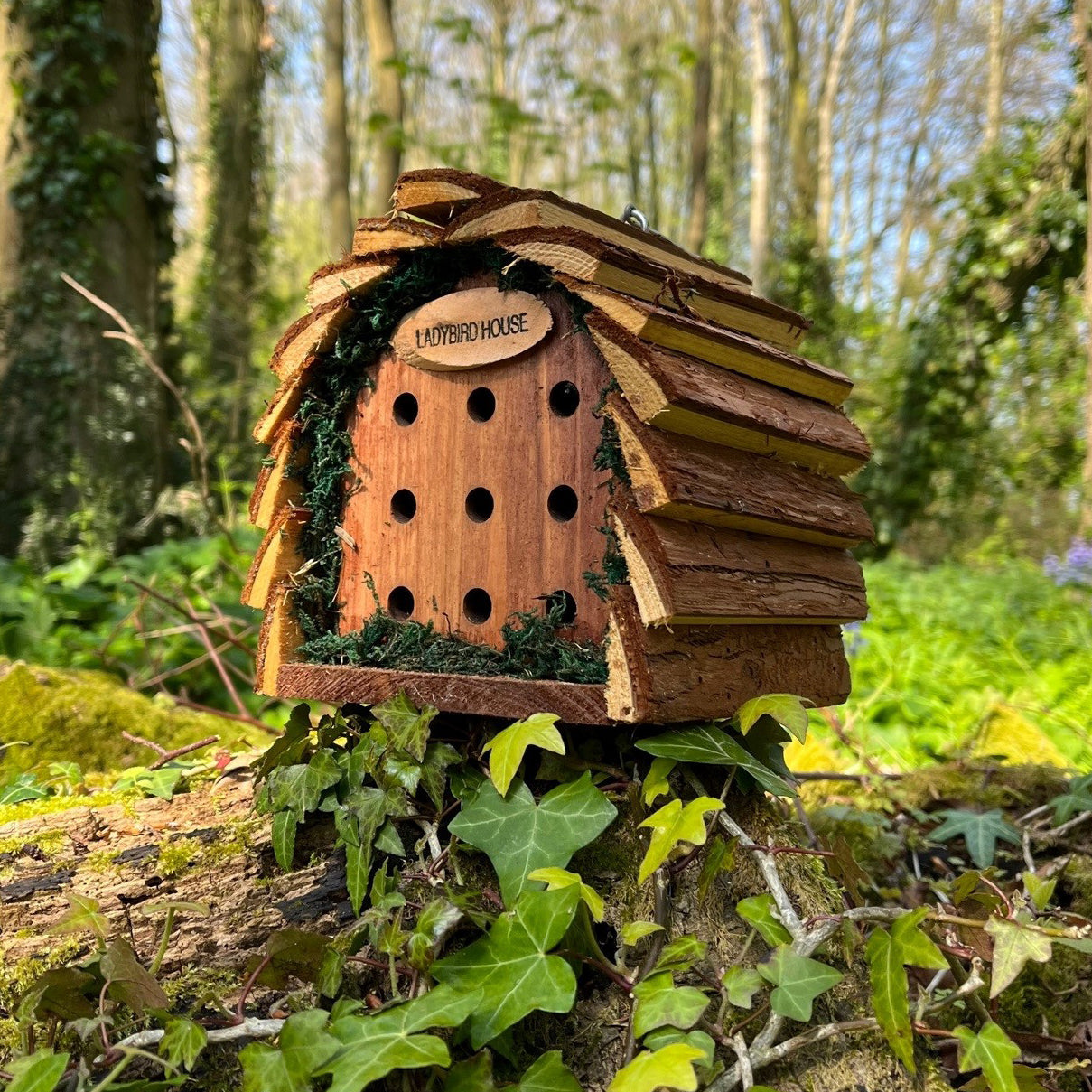 Wooden Hanging Ladybird House Garden Bug Habitat (Set of 2)