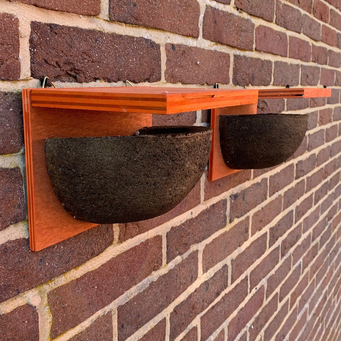 House Martin Bird Nest Box Rounded Half Cup With Top Nester (Set of 2)