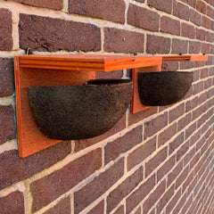 House Martin Bird Nest Box Rounded Half Cup With Top Nester (Set of 2)