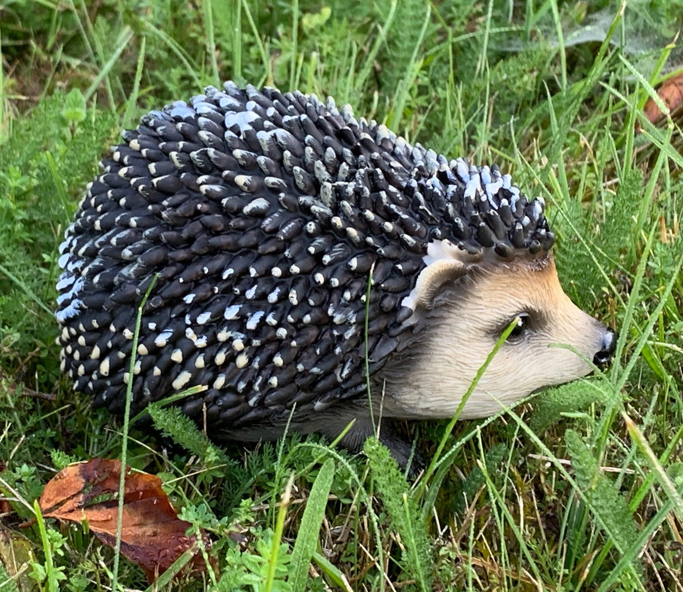 Hoglet Baby Hedgehog Resin Garden Ornament - Pack of 2