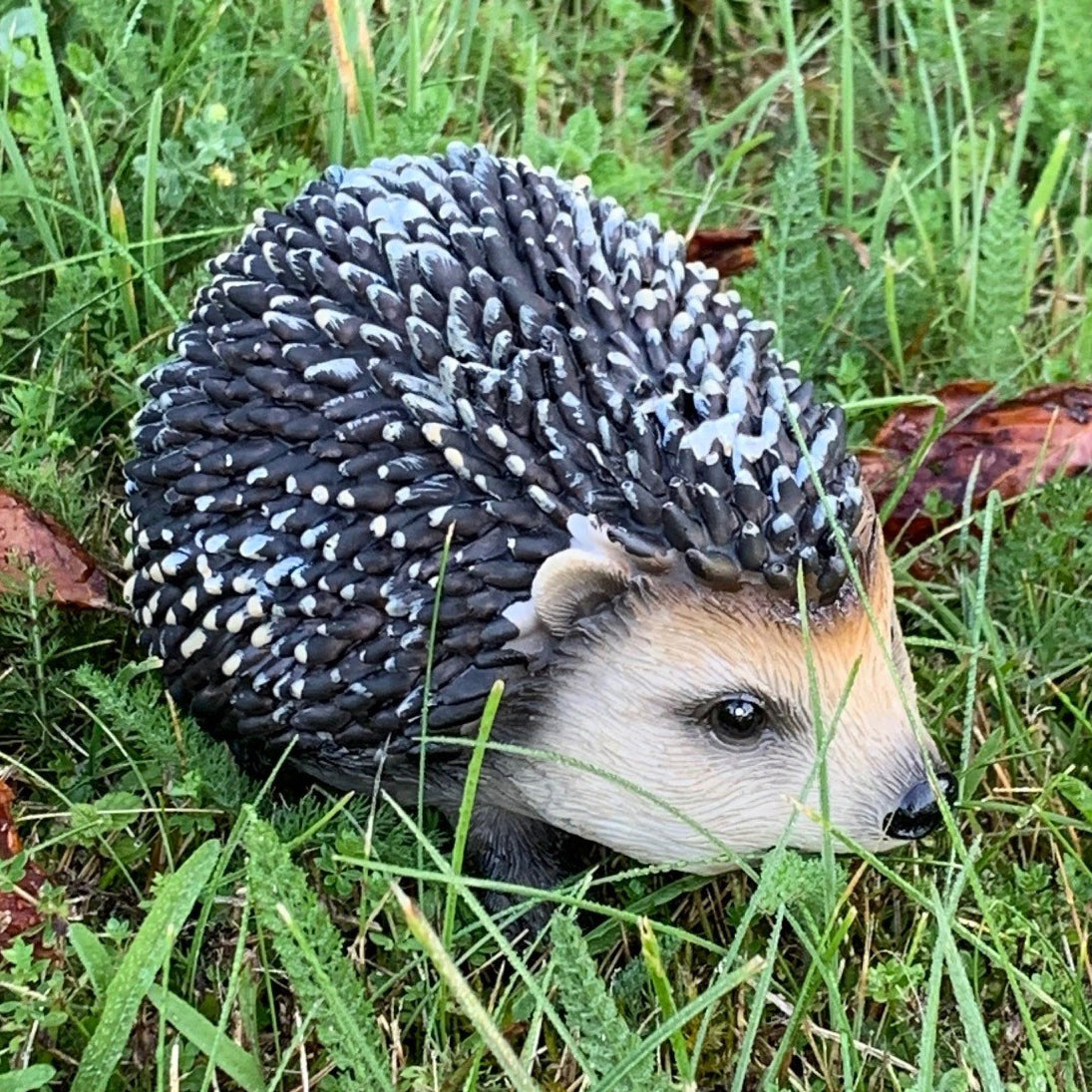 Hoglet Baby Hedgehog Resin Garden Ornament - Pack of 2