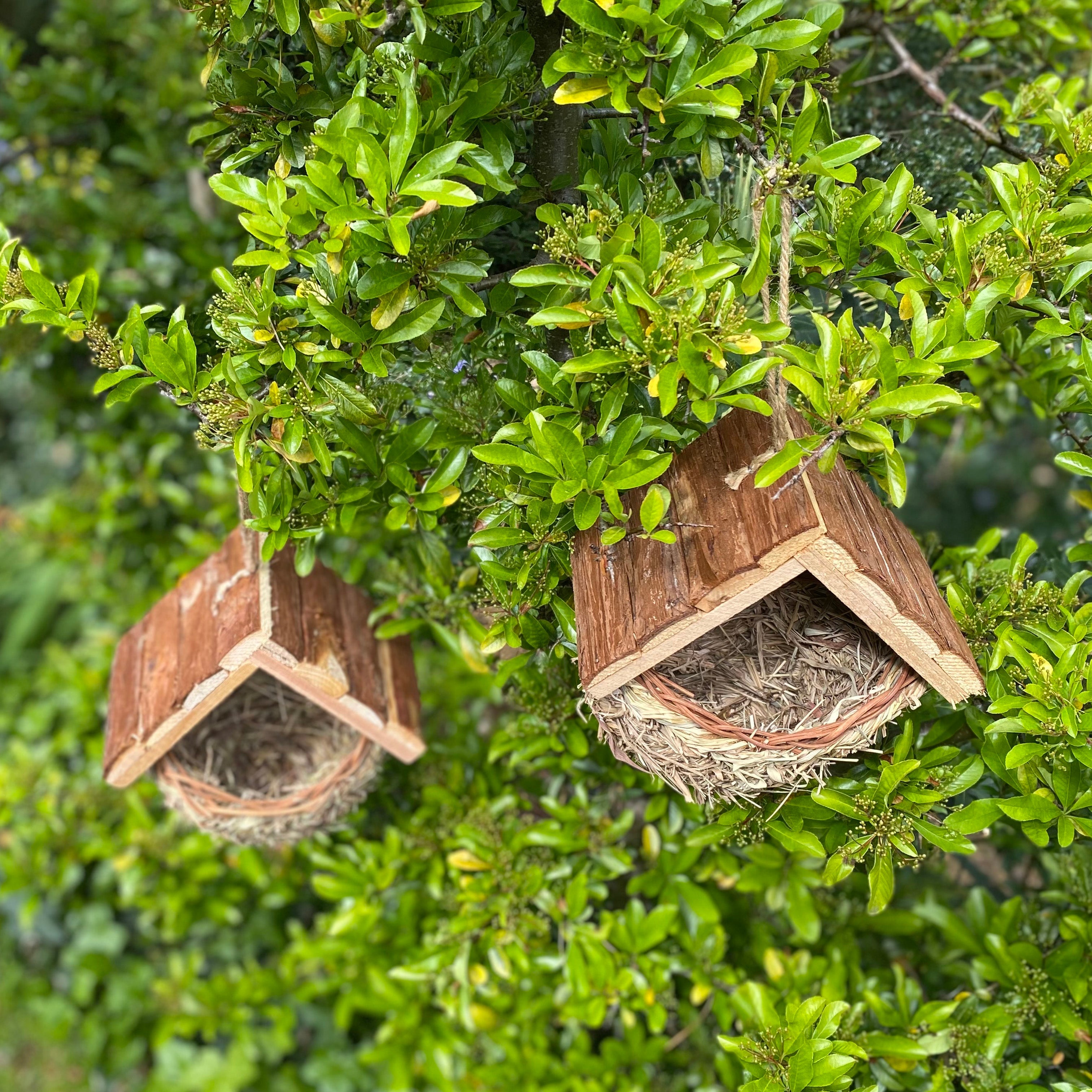 Woven House Martin Bird Rounded Cup Nester with Roof