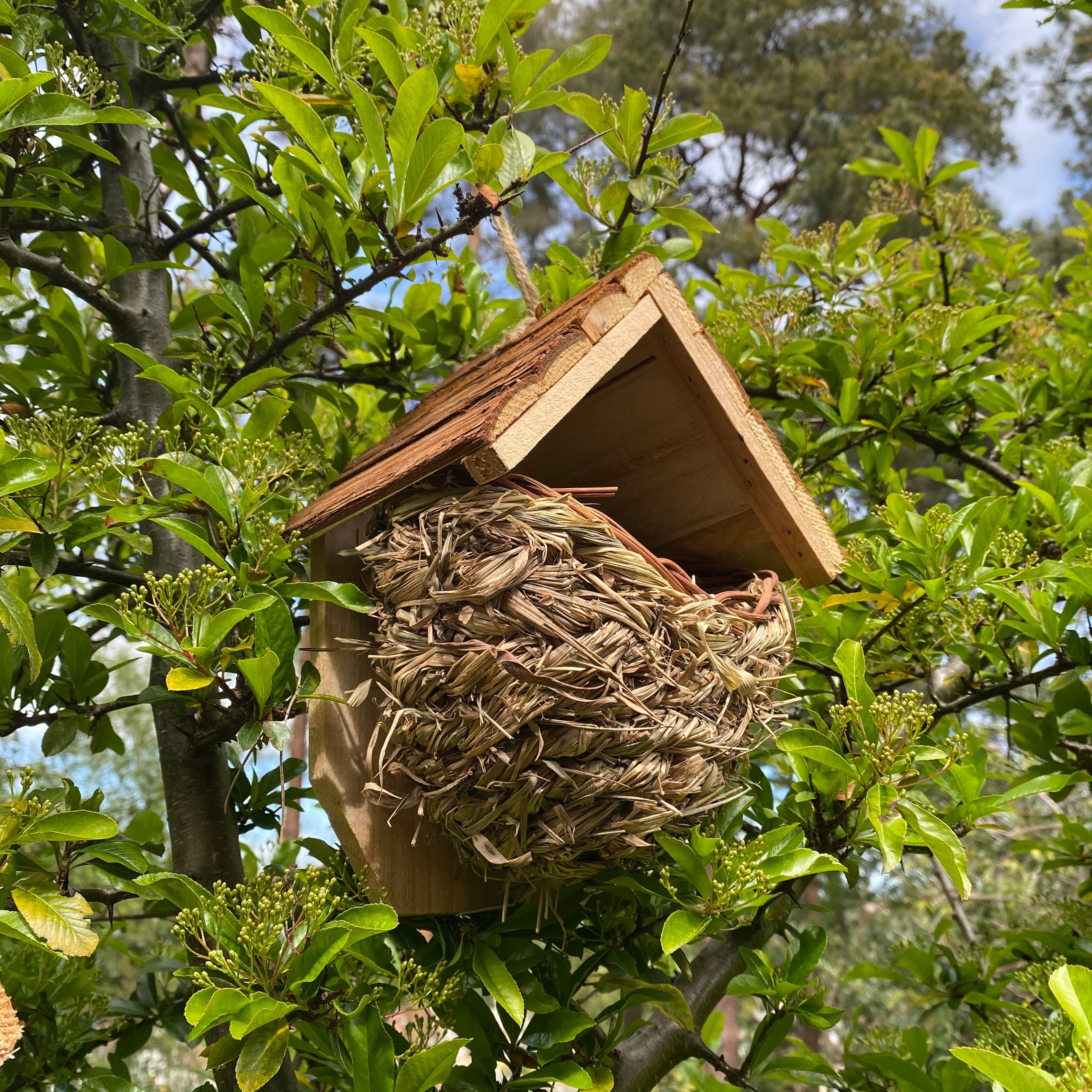 Woven House Martin Bird Rounded Cup Nesters with Wooden Roof (Set of 2)