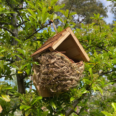 Woven House Martin Bird Rounded Cup Nesters with Wooden Roof (Set of 2)