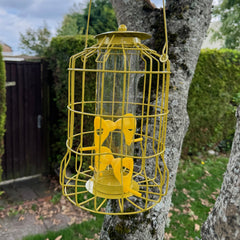 Squirrel Proof Hanging Bird Seed Feeder (Set of 2)