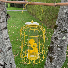Squirrel Proof Hanging Bird Seed Feeder (Set of 2)