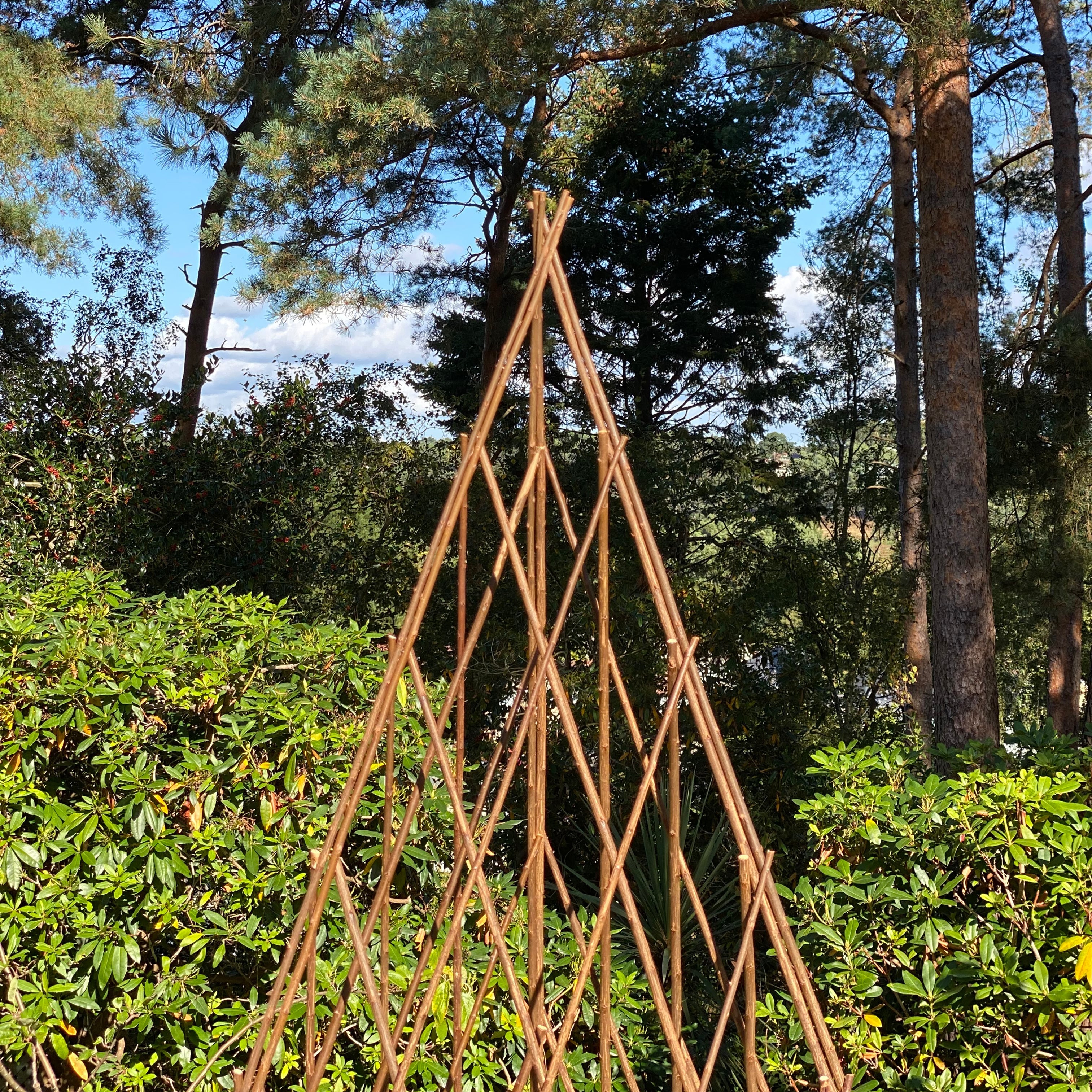 Expanding Willow Obelisks Garden Plant Support (1.5m high)