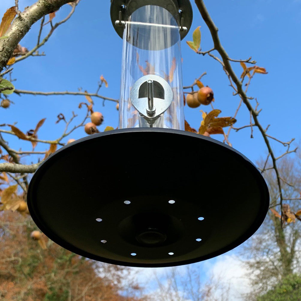 Heavy Duty Aluminium Bird Seed Feeder with Seed Catcher Tray (Set of 2)