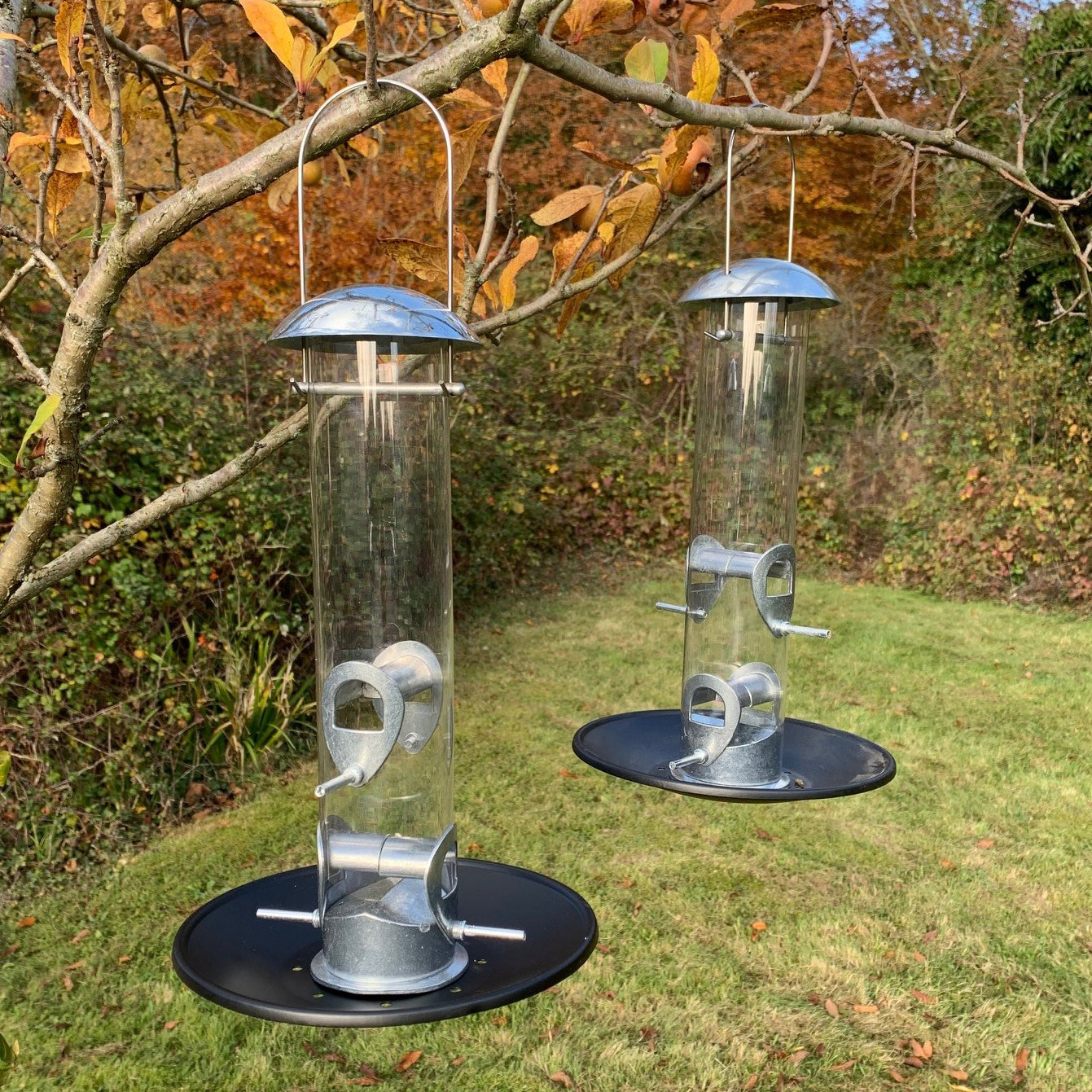Heavy Duty Aluminium Bird Seed Feeder with Seed Catcher Tray (Set of 4)