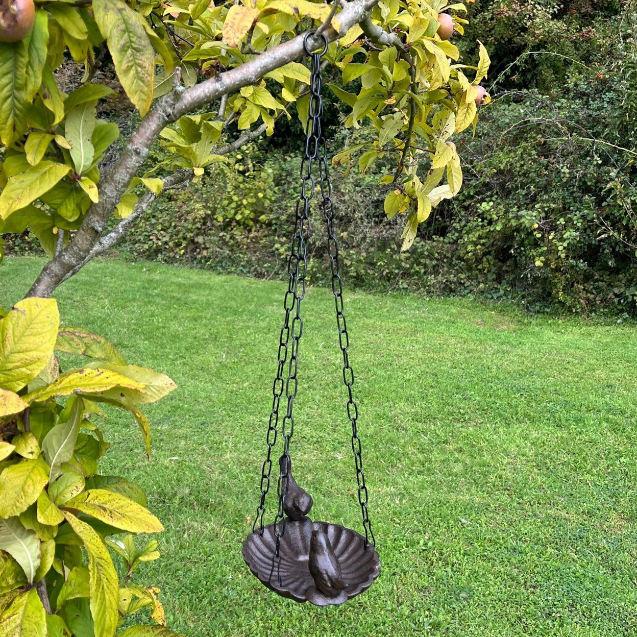 Hanging Cast Iron Garden Bird Bath Feeder