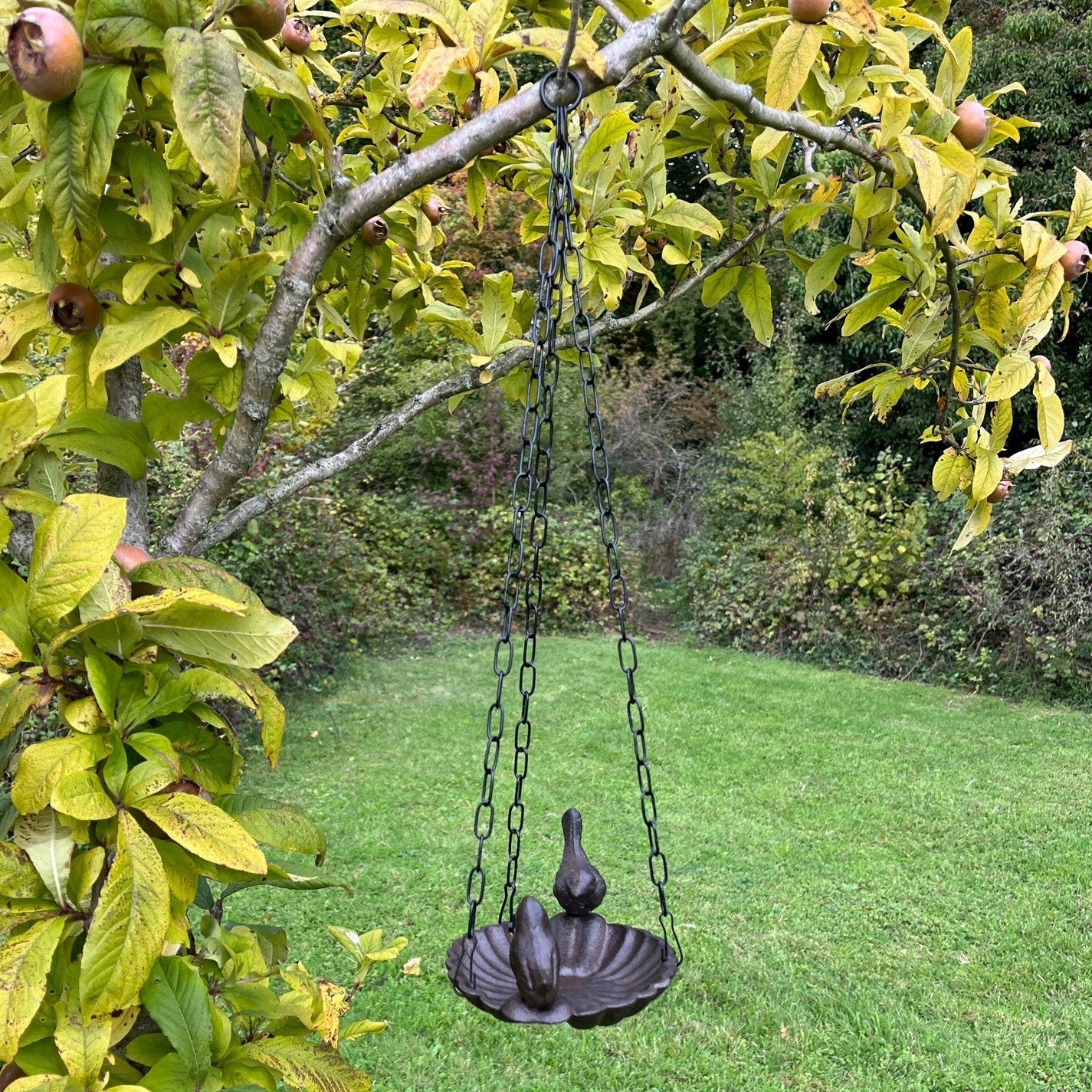 Hanging Cast Iron Garden Bird Bath Feeder