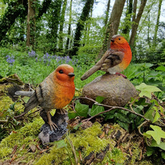 Robin on a Stone & Stump Resin Garden Ornaments - Pack of 2
