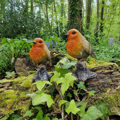 Red Robin on a Tree Stump Resin Garden Ornament - Pack of 2