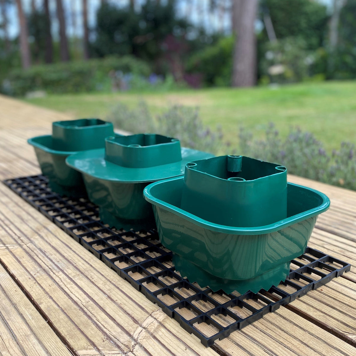 Tomato Growbag Pots - Pack of 3 - with Planting Guard & Growbag Mat