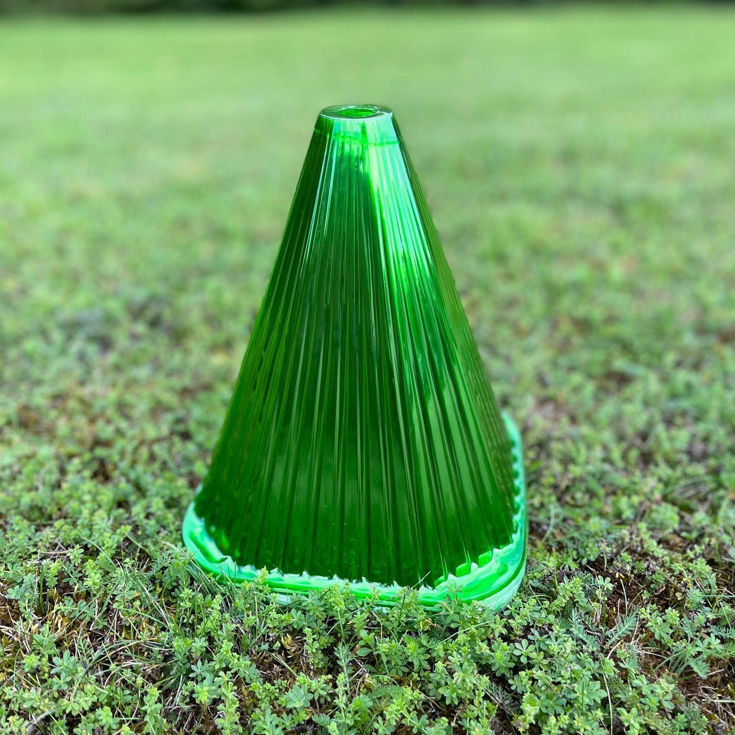 Plastic Plant Protection Cloche Covers - Pack of 12