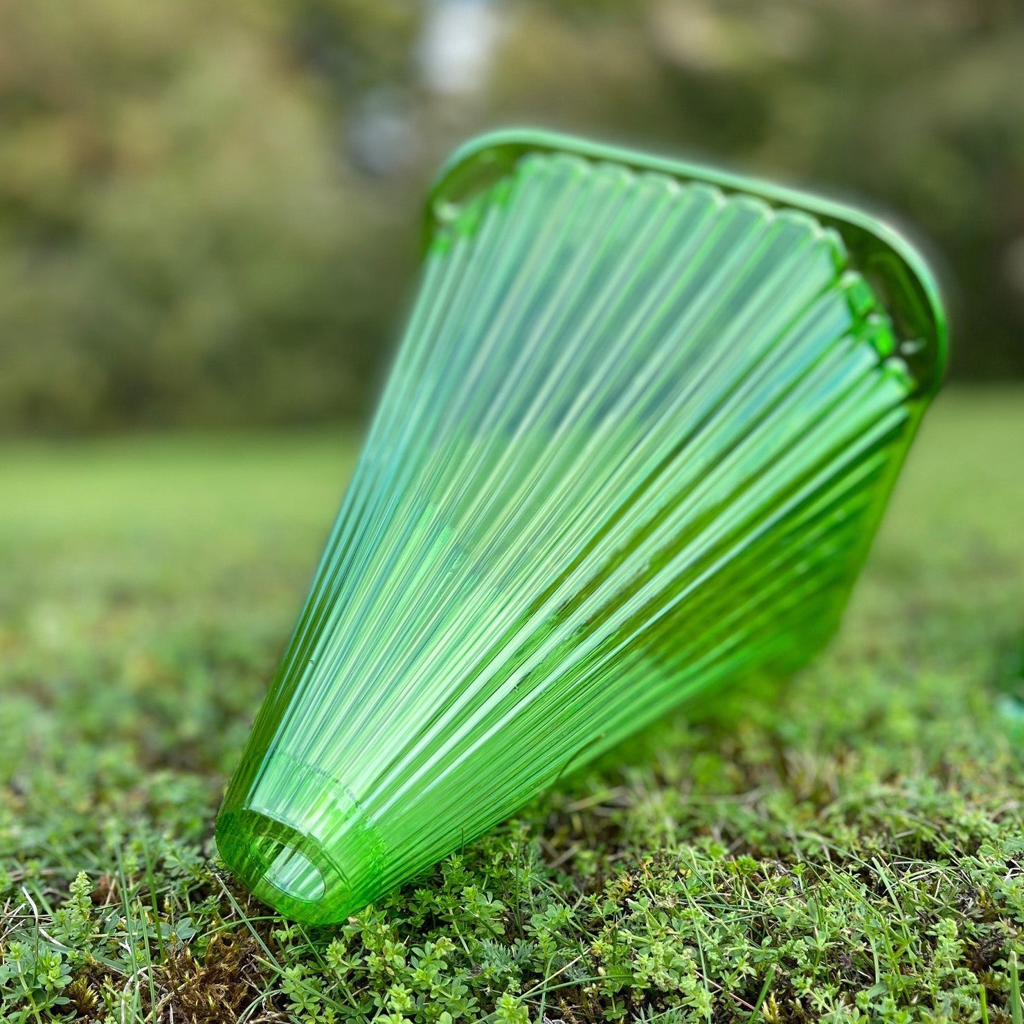 Plastic Plant Protection Cloche Covers - Pack of 12