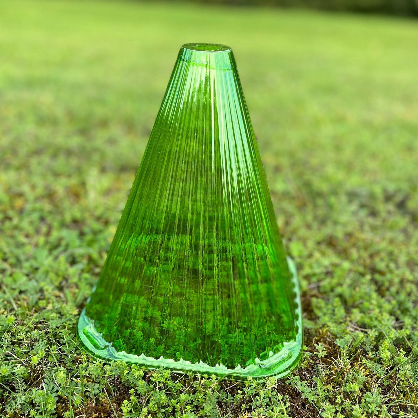 Plastic Plant Protection Cloche Covers - Pack of 12
