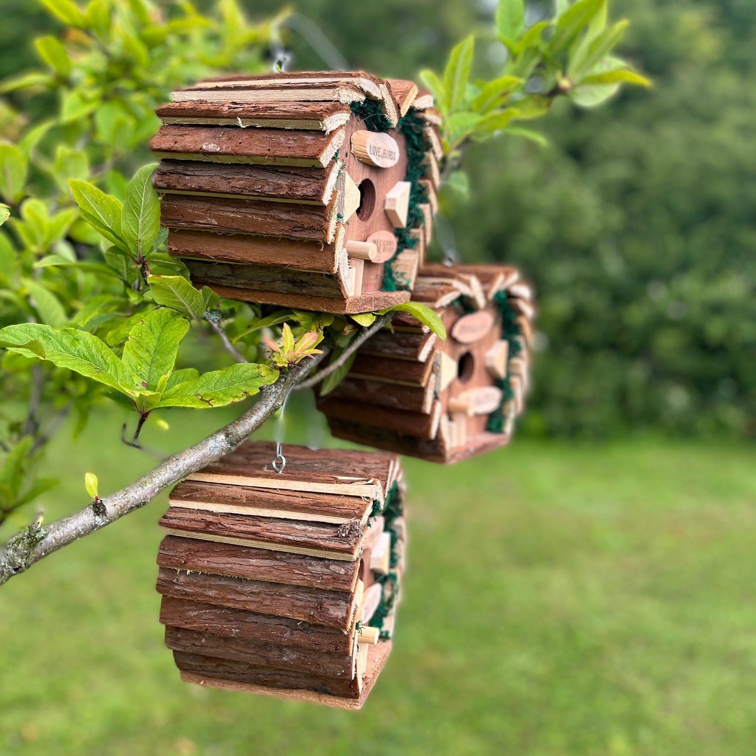 Hanging Wooden Love Bird Nest Box Birdhouse (Set of 3)