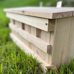 Sparrow Colony Terrace Wooden Nesting Box with Removable Nest Fronts (Set of 2)