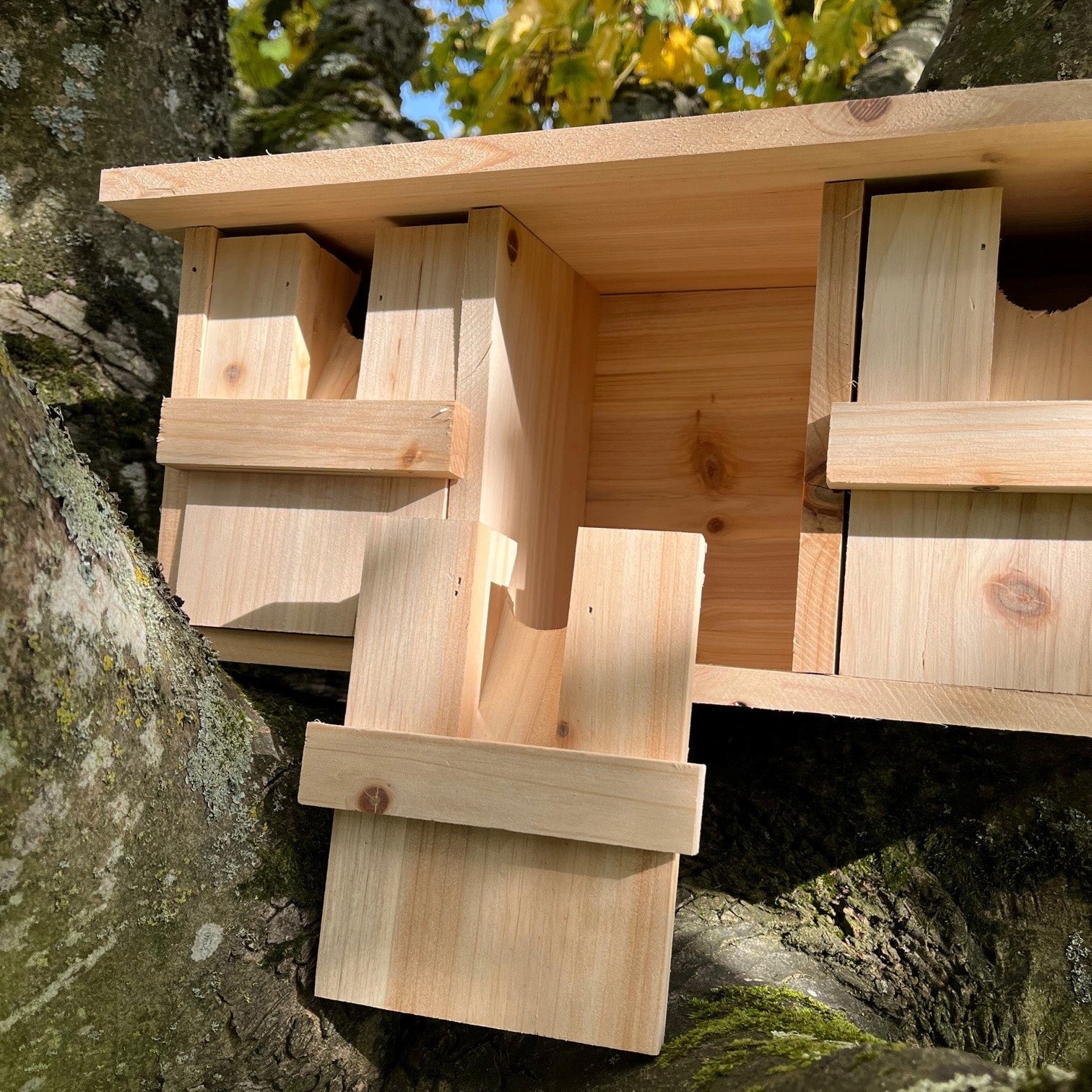Sparrow Colony Terrace Wooden Nesting Box with Removable Nest Fronts (Set of 2)
