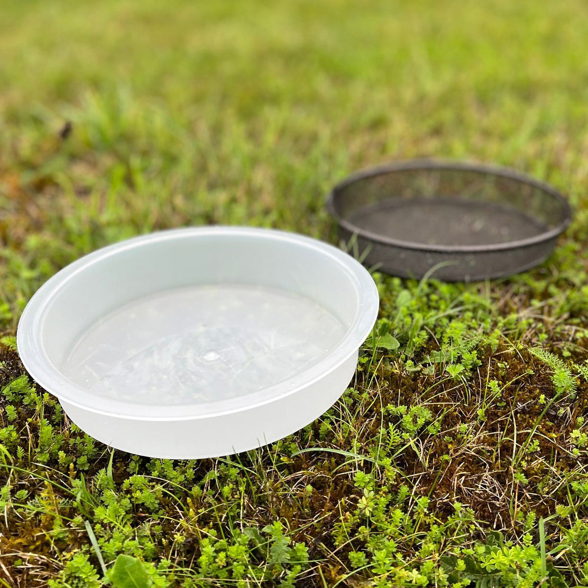 Water Dish & Mesh Seed Dish Set for Metal Bird Feeding Stations