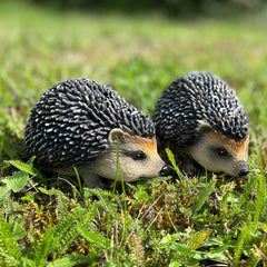 Hoglet Baby Hedgehog Resin Garden Ornament - Pack of 2