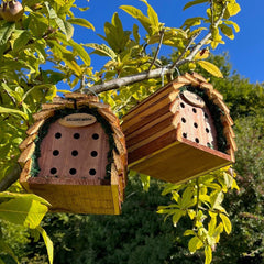 Wooden Hanging Ladybird House Garden Bug Habitat (Set of 2)