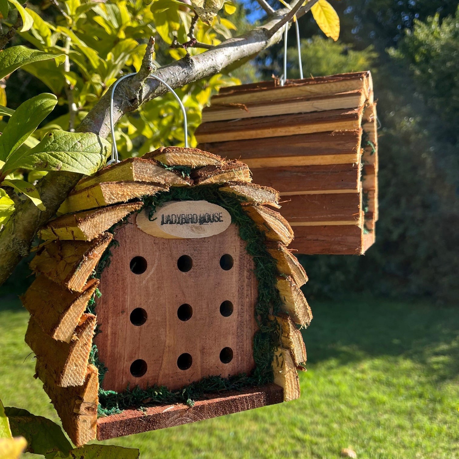 Wooden Hanging Ladybird House Garden Bug Habitat (Set of 2)