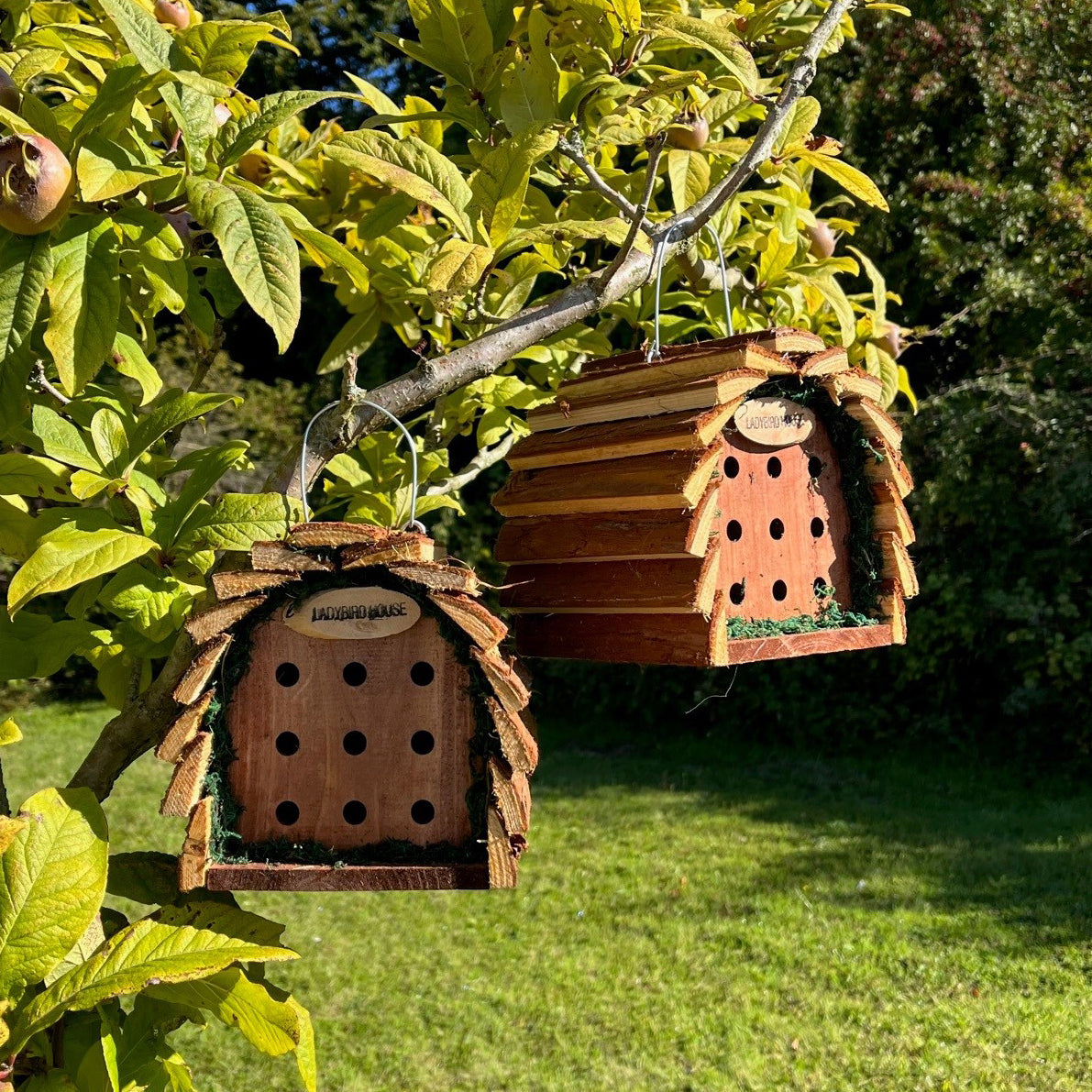 Wooden Hanging Ladybird House Garden Bug Habitat (Set of 2)
