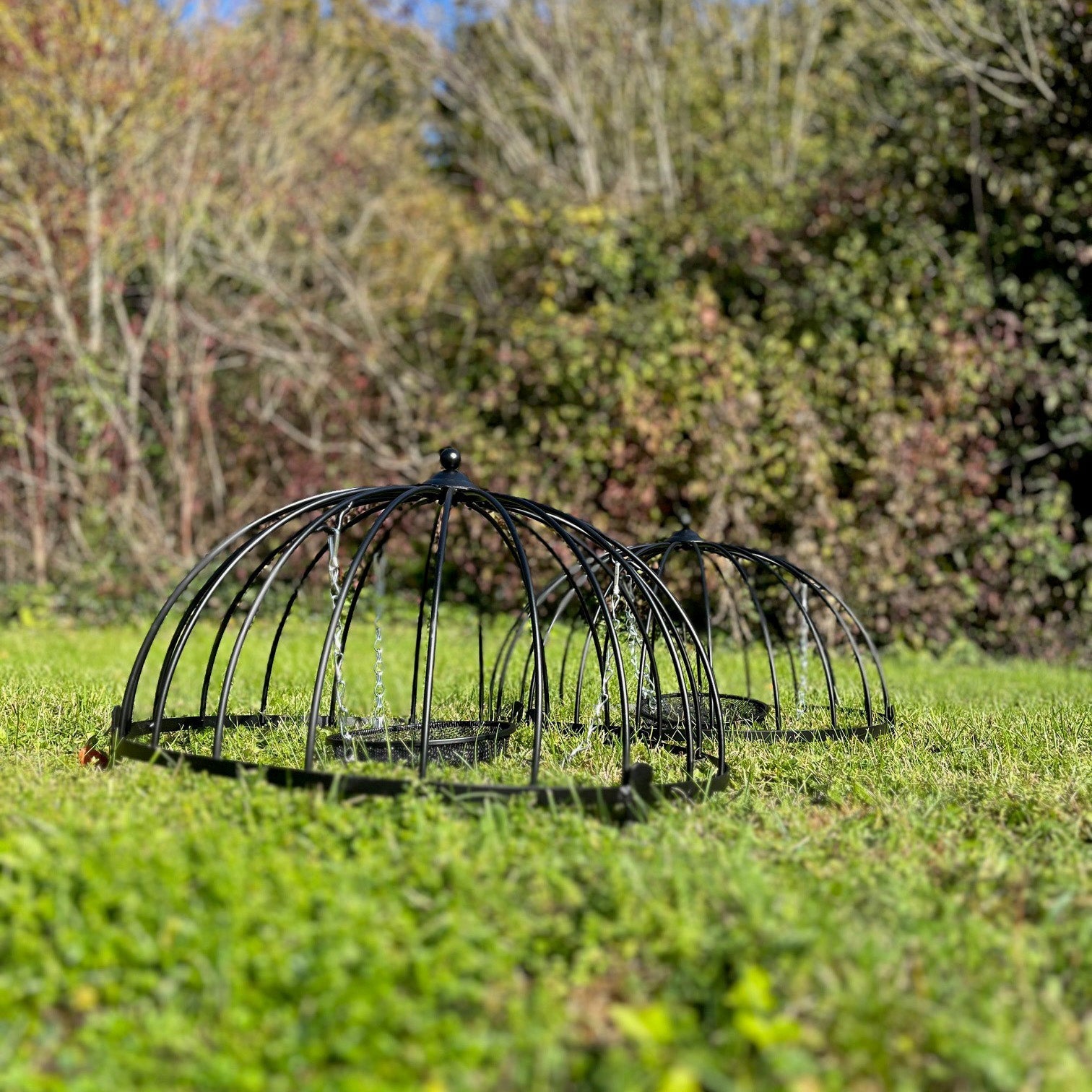 Ground Bird Feeder Haven Cage (Pack of 2)