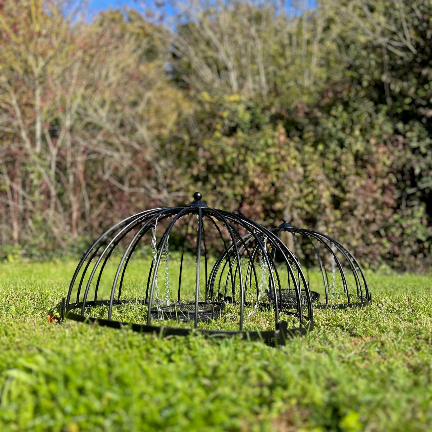 Ground Bird Feeder Haven Cage (Pack of 2)