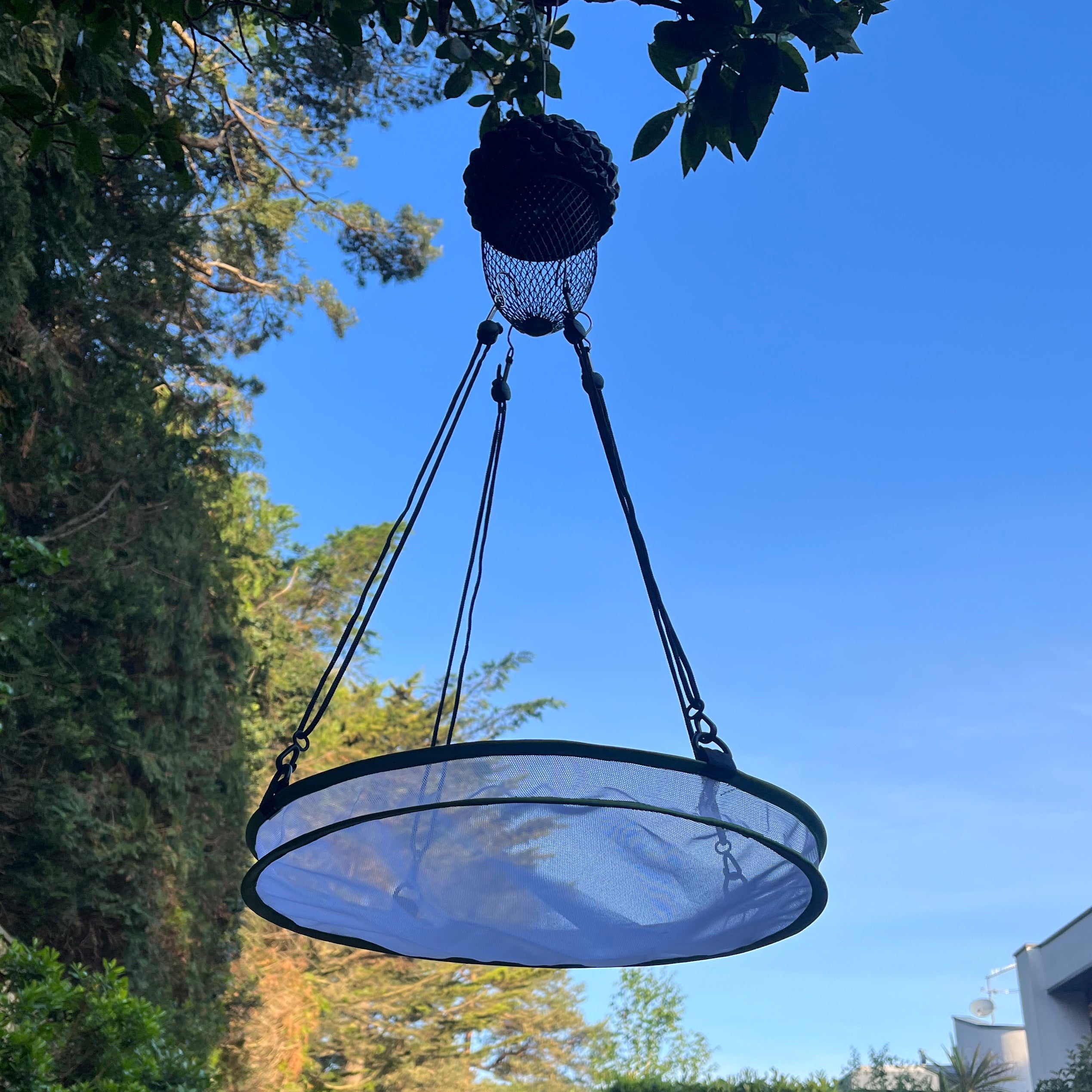 Large Mesh Bird Feeder Seed Catcher Tray (Set of 4)