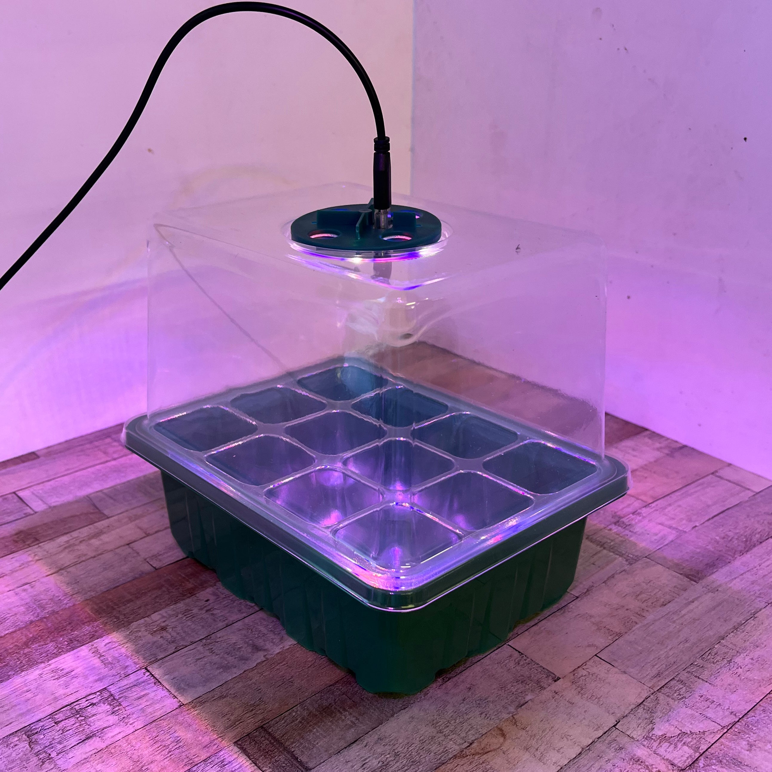 Plant Propagator 12 Cell Seed Tray Set with Full Spectrum USB Grow Lights - Pack of 5
