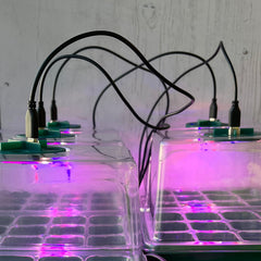 Plant Propagator 12 Cell Seed Tray Set with Full Spectrum USB Grow Lights - Pack of 5
