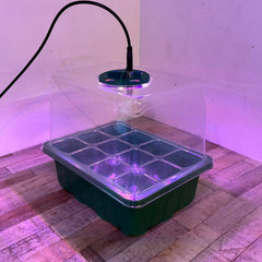 Plant Propagator 12 Cell Seed Tray Set with Full Spectrum USB Grow Lights - Pack of 5
