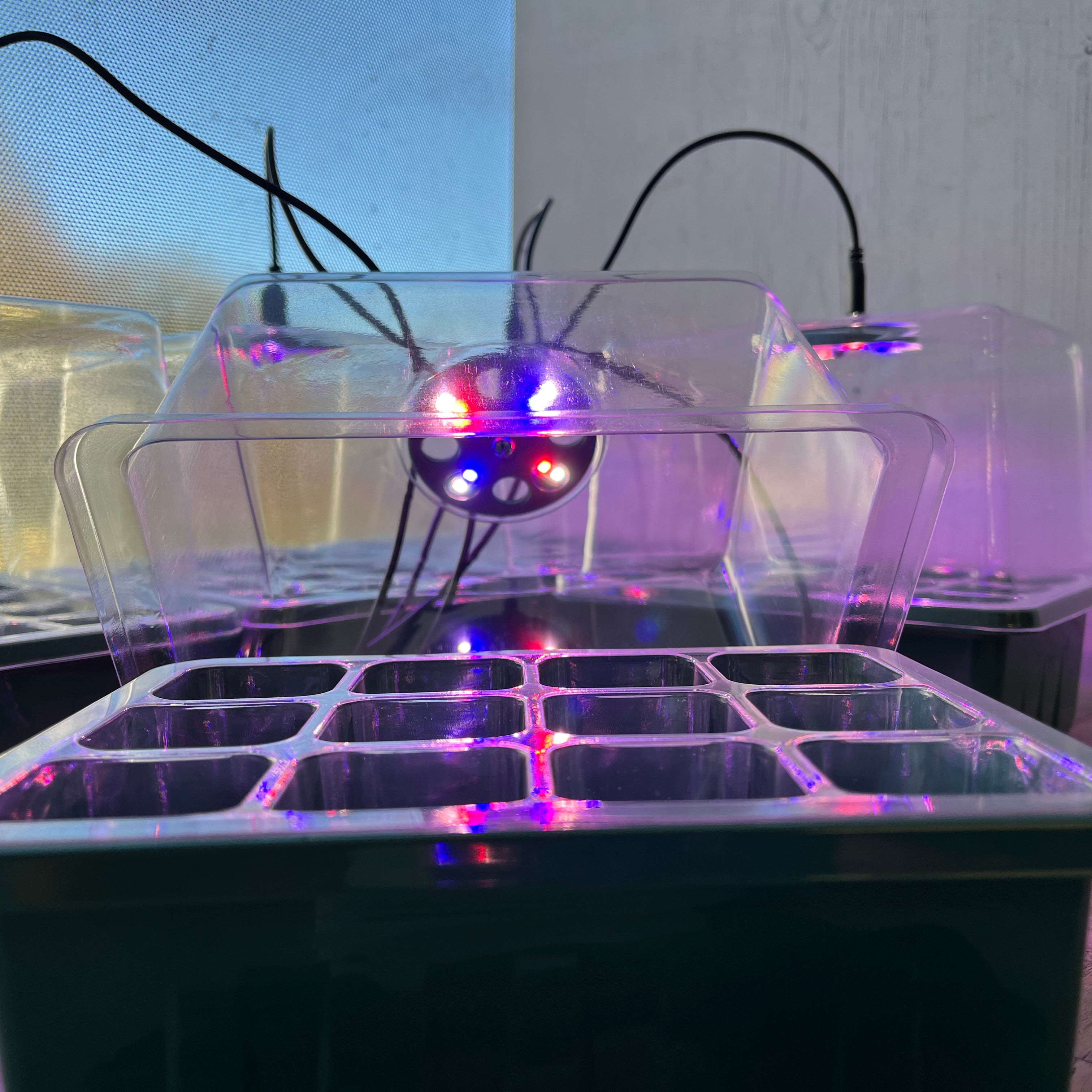 Plant Propagator 12 Cell Seed Tray Set with Full Spectrum USB Grow Lights - Pack of 5