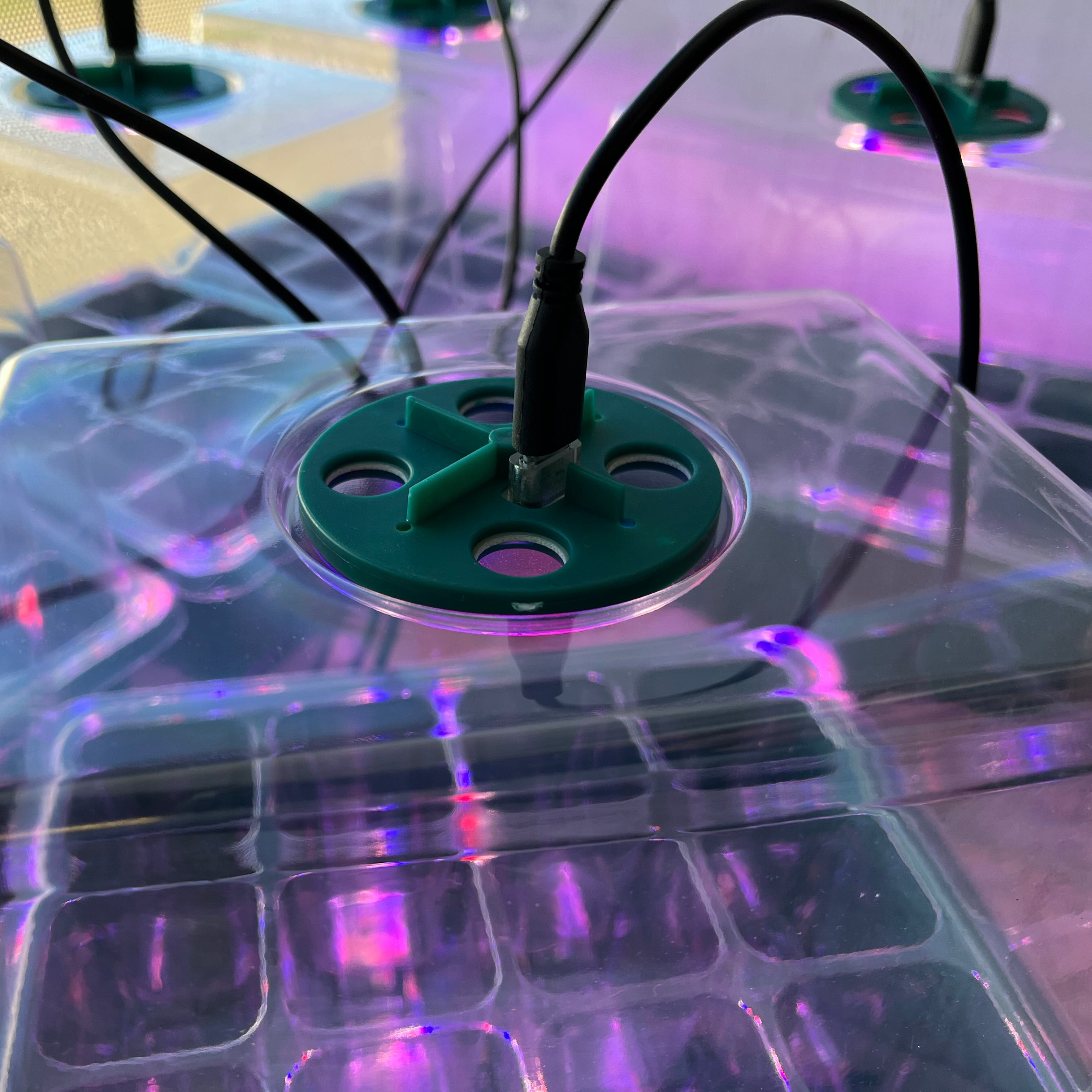 Plant Propagator 12 Cell Seed Tray Set with Full Spectrum USB Grow Lights - Pack of 5