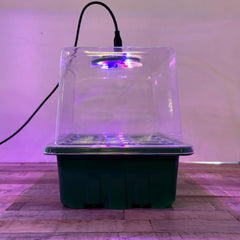 Plant Propagator 12 Cell Seed Tray Set with Full Spectrum USB Grow Lights - Pack of 5